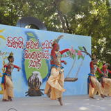 සිඟිති අලුත් අවුරුදු මංගල්‍යය 2015